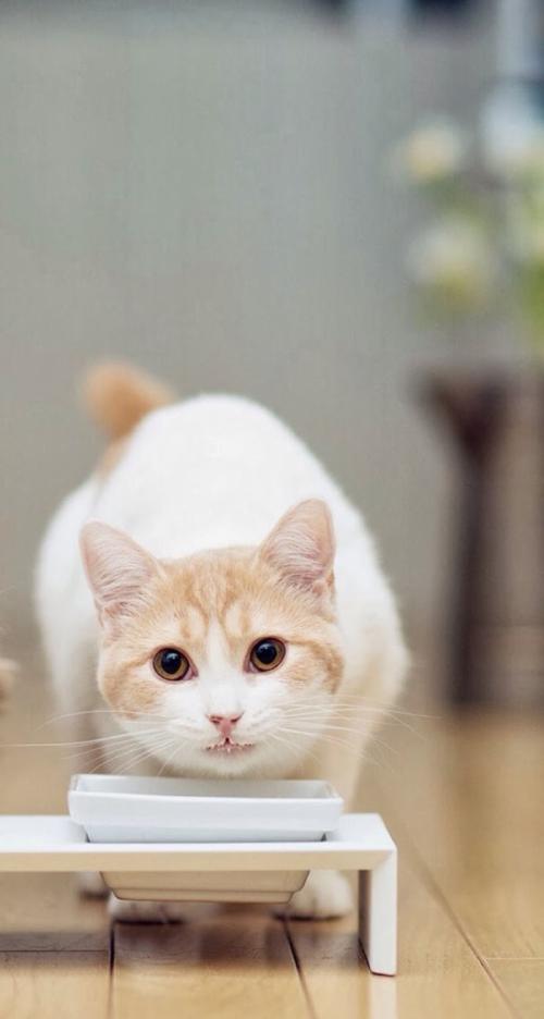 ж! 2020սͼ:48ɽ ¹ű